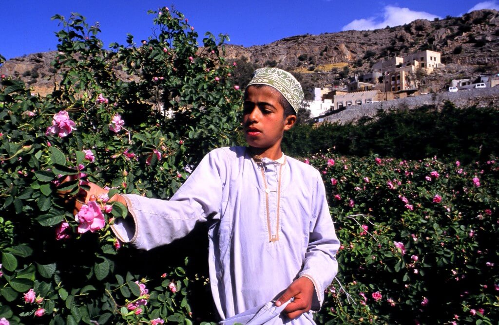 Reizen Oman